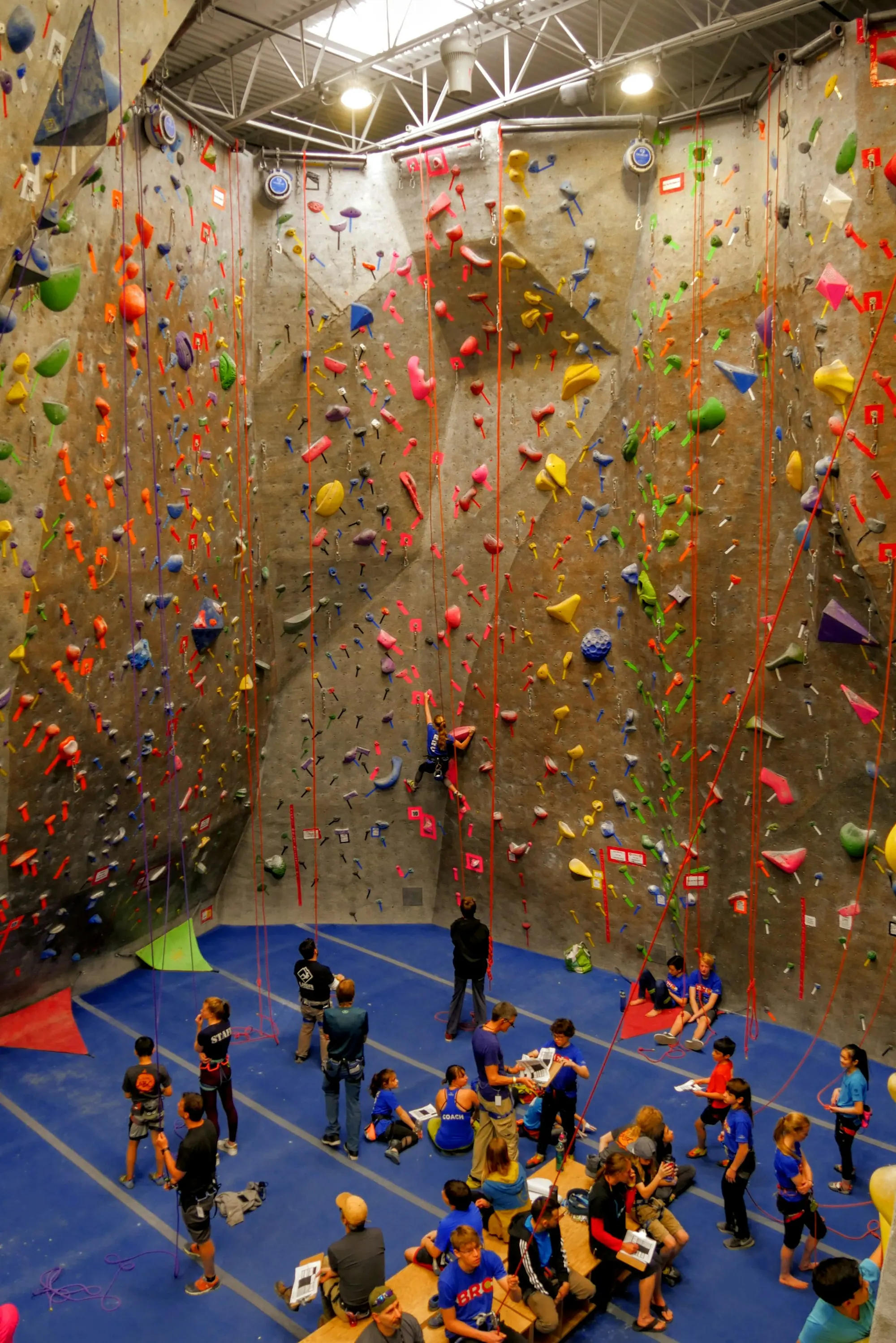 A wide view of an indoor climbing hall showing walls at different angles and floor matting